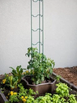 ECO Deluxe Tomato Halo, Set Of 2 11 ECO Deluxe Tomato Halo, Set Of 2 -Garden Supplies Sales 8613481 6594