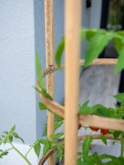 Elevated Bamboo Tomato Planter And Trellis -Garden Supplies Sales 8613502 0423