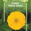 Golden Yellow Zinnia Organic Seeds 1 Golden Yellow Zinnia Organic Seeds -Garden Supplies Sales 8613628 01v golden yellow zinnia seeds