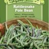 Rattlesnake Pole Bean Organic Seeds -Garden Supplies Sales 8613650 01v rattlesnake pole bean