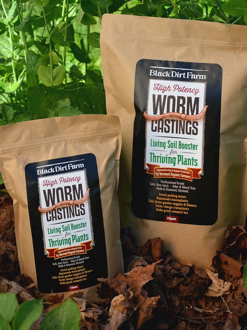 Black Dirt Farm Compost Tea Grade Worm Castings, 6 Quart 4 Black Dirt Farm Compost Tea Grade Worm Castings, 6 Quart - Image 2