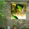 Butterfly Kiss Outdoor Wall Art -Garden Supplies Sales 8613998 02V butterfly kiss outdoor wall art