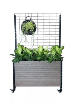 Mobile Deep Trough Planter With Trellis 9 Mobile Deep Trough Planter With Trellis -Garden Supplies Sales 8614265 03V