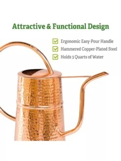 Copper Indoor Watering Can 9 Copper Indoor Watering Can -Garden Supplies Sales Copper Watering Can 1