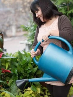 French Blue Watering Can 15 French Blue Watering Can -Garden Supplies Sales EmilyHoangSquare 0151 tif