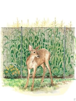 Garden Supplies Sales 16 Easy-Up Lightweight Fence