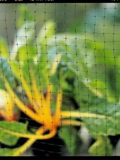 Garden Supplies Sales -Garden Supplies Sales GS05345 03 tif