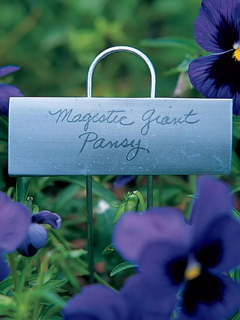 Large Markers, Set Of 25 4 Large Markers, Set Of 25 - Image 2