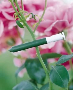 Garlic Clips, Set Of 25 -Garden Supplies Sales GS31226 01