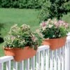 2' X 4' Railing Planter, 25" -Garden Supplies Sales GS34336 01 24 inch 2x6 railing planters