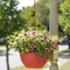 Self-Watering Hanging Basket 1 Self-Watering Hanging Basket -Garden Supplies Sales GS34368 10 tif