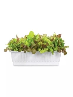 31" Self-Watering Window Box -Garden Supplies Sales GS36523 01Z 3 4
