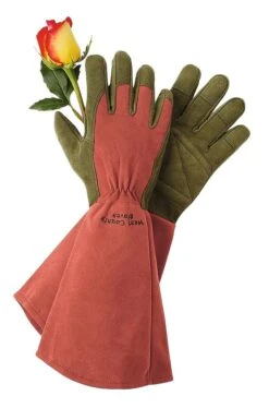 Rose Gloves -Garden Supplies Sales GS36874 01Z tif