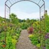 Jardin Rose Arch -Garden Supplies Sales GS38690 02 rose trellis tif