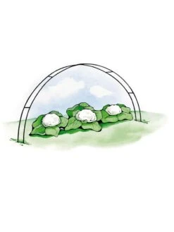 Super Hoops, Set Of 6 -Garden Supplies Sales GS39423 02S 3 4