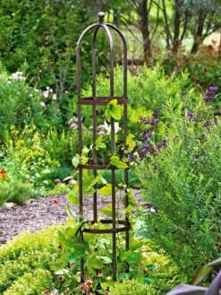 Jardin Bird Cage Support, 26" 10 Jardin Bird Cage Support, 26" -Garden Supplies Sales GS39529 01 tif