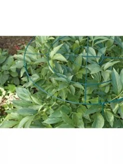 Grow Through Supports, Set Of 3 9 Grow Through Supports, Set Of 3 -Garden Supplies Sales GS40172 01 1