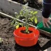 Tomato Halos, Set Of 3 -Garden Supplies Sales GS40357 01 tif