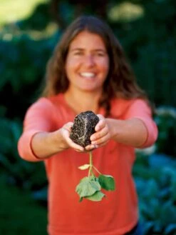 Deep Root Seedstarting System, Black 7 Deep Root Seedstarting System, Black -Garden Supplies Sales GSCOVSPR06D2 01