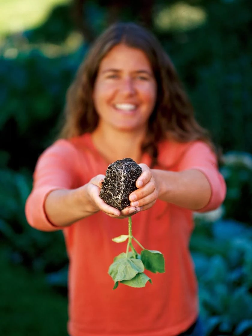 Deep Root Seedstarting System, Black 5 Deep Root Seedstarting System, Black - Image 3