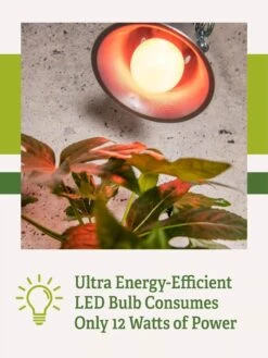 Miracle LED® Absolute Daylight™ Max Flowering Grow Light Bulb 11 Miracle LED® Absolute Daylight™ Max Flowering Grow Light Bulb -Garden Supplies Sales Miracle Daylight Bulb 2