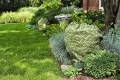 ShrubJacket Covers -Garden Supplies Sales gs39166 02