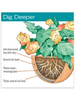 AquaSav™ Replacement Liners, Set Of 3 -Garden Supplies Sales hiw 38 583