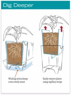 Stoneware Self-Watering Windowsill Planters, Set Of 2 11 Stoneware Self-Watering Windowsill Planters, Set Of 2 -Garden Supplies Sales hiw 8593943 jpg