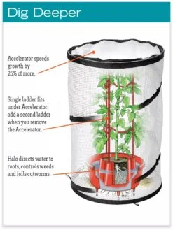 Tomato TLC Kits, Set Of 3 -Garden Supplies Sales hiw 8594214 jpg