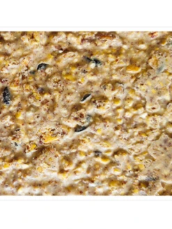 Peanut Apple Suet, 11.75 OZ, 12 Pack -Garden Supplies Sales webimage 8613690 04V