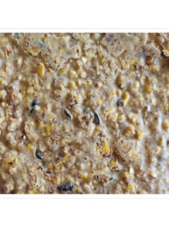 Woodpecker Almond Suet, 11.75 OZ, 12 Pack -Garden Supplies Sales webimage 8613691 04V