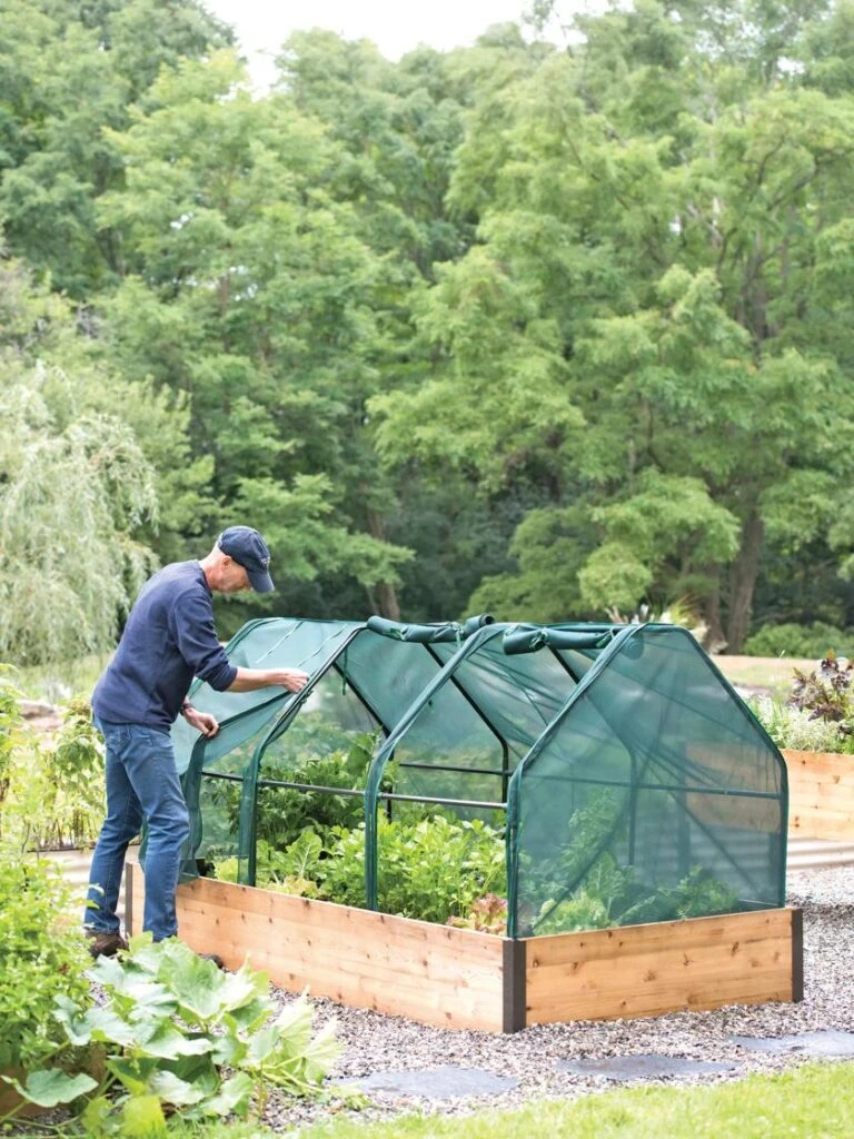 Garden Supplies Sales 20 Garden Supplies Sales -Garden Supplies Sales 8598282 0101 tif 768x1024 1