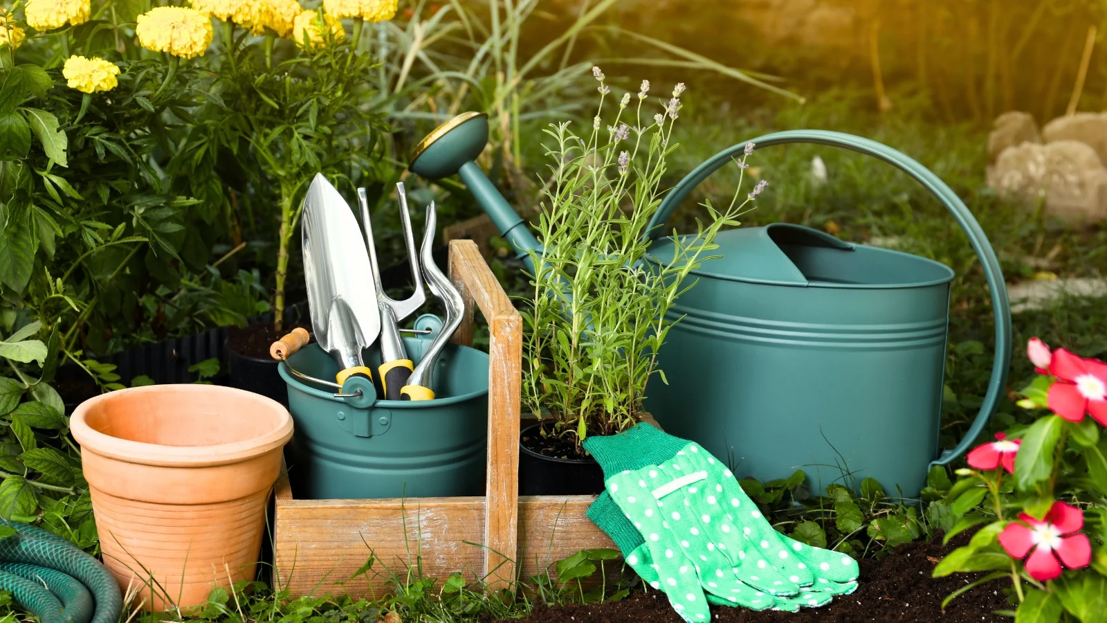 Garden Supplies Sales 1 Garden Supplies Sales -Garden Supplies Sales gardening tools labor day